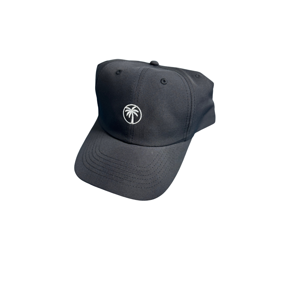 Palmetto 'Dad' Performance Hat