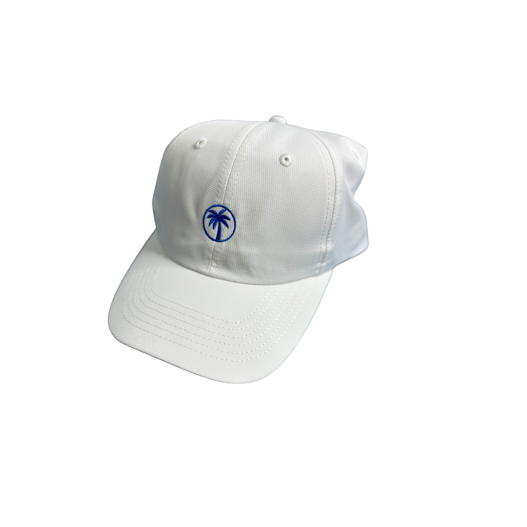 Palmetto 'Dad' Performance Hat