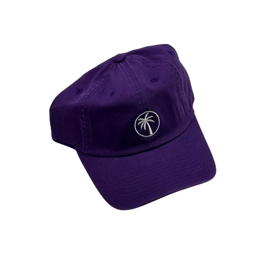 Palmetto Clothing Washed Slouch Hat - Purple